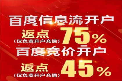 百度推广服务费案例：揭秘企业成功转型之路